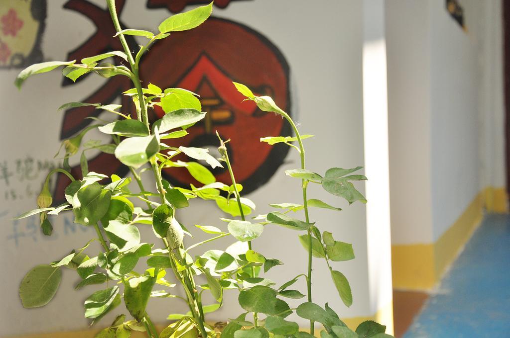 Xi'An Maoshe Youth Hostel المظهر الخارجي الصورة